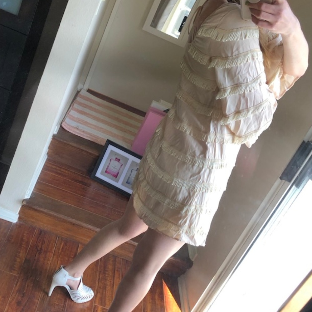 Nasty Gal Blushing Fringe Dress - Picture 5 of 5